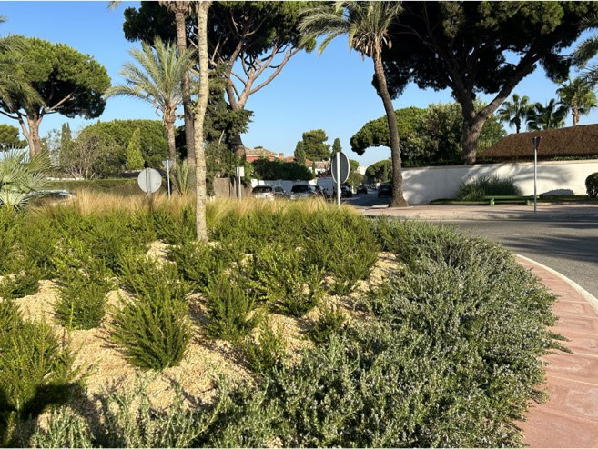 Segundo bando Plan Emergencia contra la Sequía